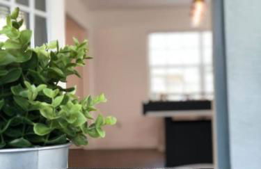 Beautiful Home across the street from Lake June! - Foto 21