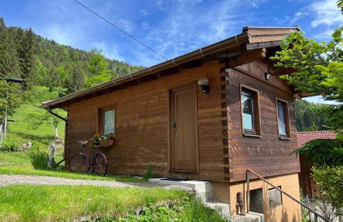 Chalet Berghaus Rusch - Foto 18