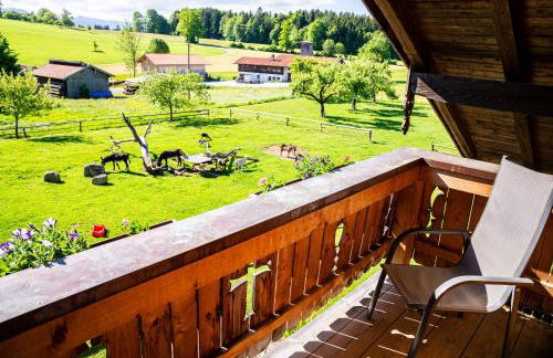 Thalerbauer Ferienwohnungen - Foto 20