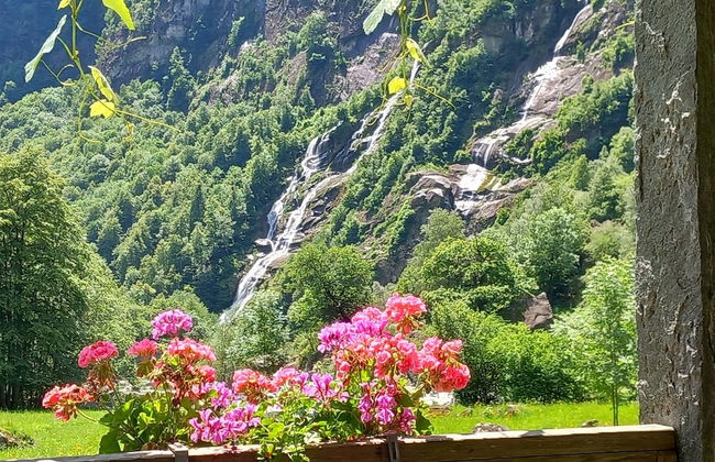 Room-"casa Coerente" Cavergno - Room #1 - Foto 19