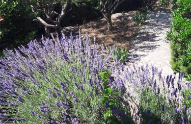 Apartman dida Jakov - Foto 26