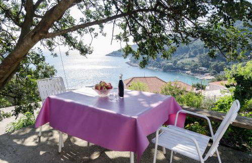 Guest House Kralj - Photo 27