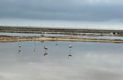 Studio indépendant tout confort pour 4 personnes 25 m carrés - Foto 33