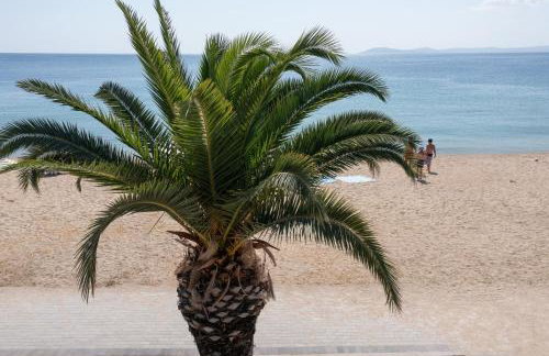 Acapus Studios - Foto 52