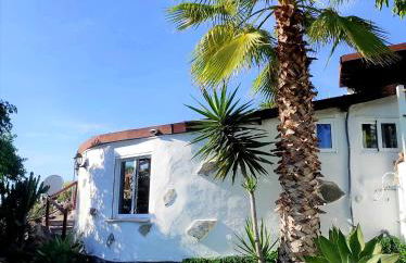 Etoile arc-en-ciel - Foto 12