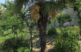 Apartments with a parking space Krbune, Central Istria - Sredisnja Istra - 7670 - Foto 7