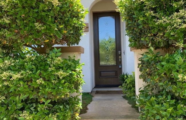 Luxury Custom Home in Oakdale Parkview - Foto 27