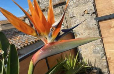 Gite charme et confort - Foto 16