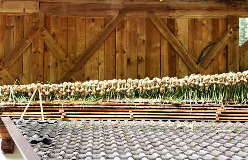 Herrischner Apartement 2 - Foto 39