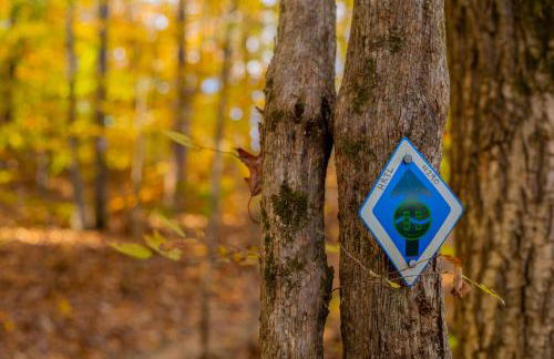 Studio Apt on HRT hosted by Longview Stays - Foto 22