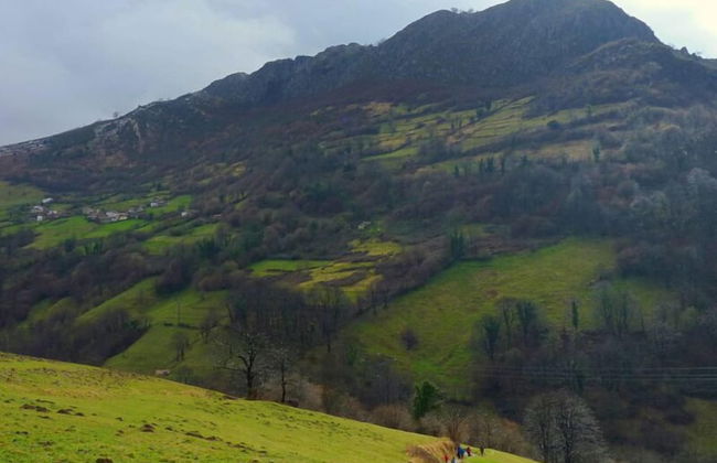 Alojamientos Rurales Valle de Bueida - Photo 69