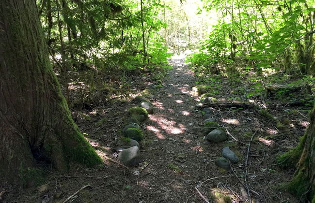 32MBR - BBQ - Pets Ok - Wood Stove - Sleeps 7 - Foto 23