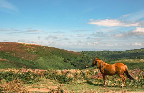 The Hideaway - Foto 17