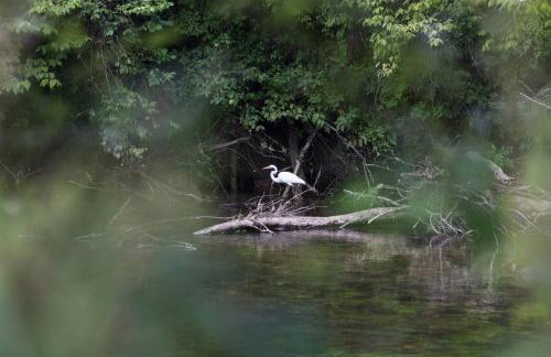 Ultimate Creek Experience-Hot tub/Sauna/Fishing - Foto 78