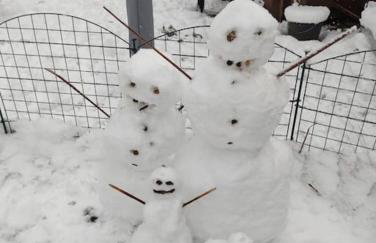 Naturnah in Hellenthal - Photo 25