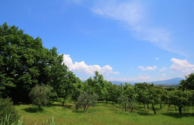 Villa With Swimming Pool in Marciano - Foto 29
