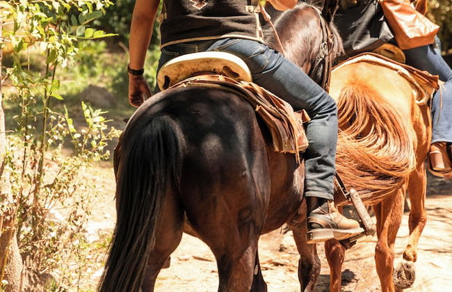 Rancho con Caballos El Reencuentro - Foto 50