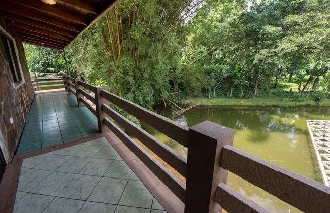 Villa el Bosque La Fortuna - Foto 45