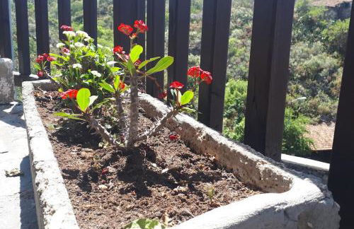 Casa Tía Rosa. - Foto 19