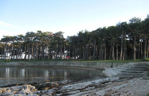 Ane Apartment - Foto 59