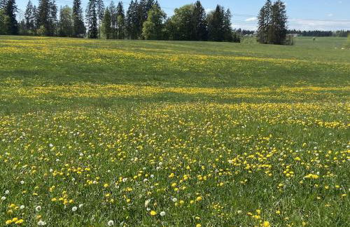 Ferienwohnung Mohr - Foto 23