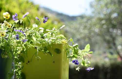 Pietraverdemare - Foto 6