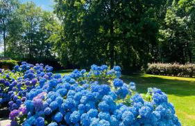 Villa Giulia - Bisalta - Foto 56