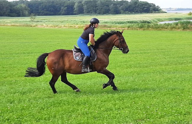 Gustow Garden Retreat - Foto 32