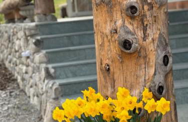 MOUNTAIN LODGE OBERJOCH - Allgäu - Foto 33