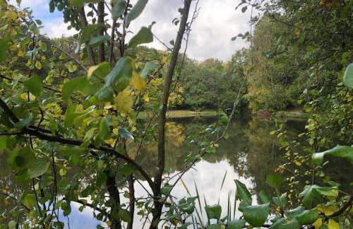Rustikale Wanderhütte am Angelteich - Foto 16