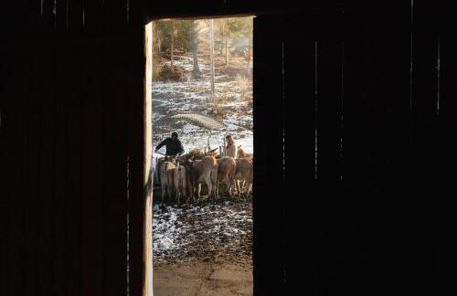 Agriturismo La Daga - Foto 47