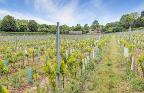 1 Bed in Luddesdown oc-d32118 - Foto 18