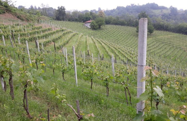 Apartment in Cut Monferrato With Garden - Foto 38