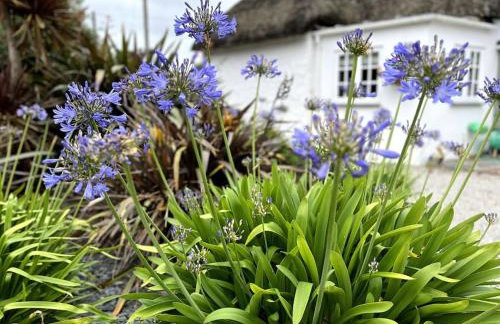 Cosy thatched Cottage sleeps 6 near Portscatho! - Foto 24
