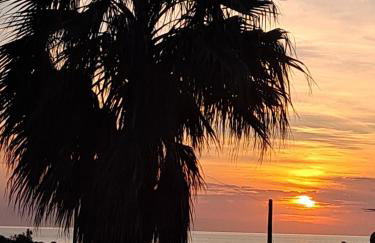 Evilion- Potidaia- Halkidiki- 100m from the sea - Foto 13