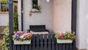 Ferienwohnung AyNa 1, direkt an der Schweizer Grenze - Foto 3