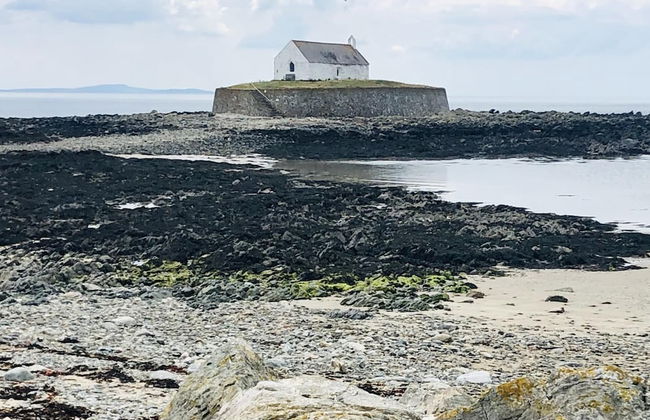 Shepherds Hut With Hot Tub, North Wales, Anglesey - Photo 26