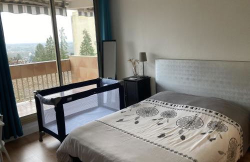 Appartement 2 P 5 PER ENTRE BEAUVAL & CHENONCEAU - Foto 18