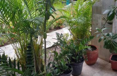 A Casa da Ilha - Foto 6