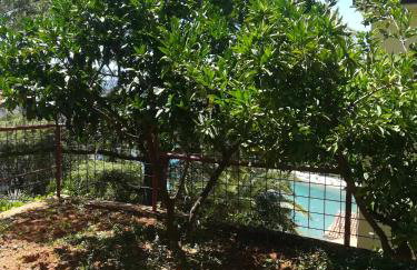 Tangerine Apartment - Foto 18