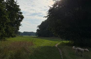 Edles Naturidyll bei Berlin - Foto 63