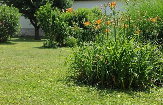 Ferienwohnung ALEX - Foto 22