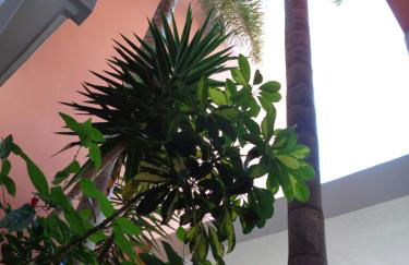 Apartamento Arade Mar - Photo 26