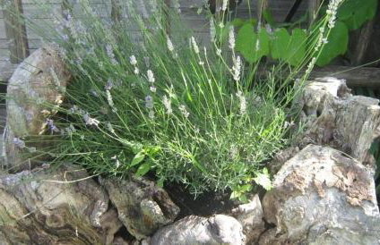 Apartment in Rakovica with balcony, air conditioning, Wi-Fi (601-2) - Foto 21