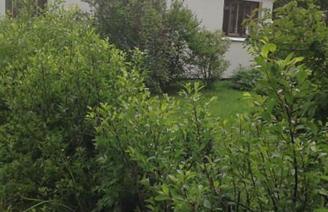 Sólheimar - Foto 11