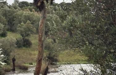 Monte Santo António - Alqueva - Foto 28