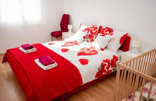 Dalmatian - Photo 24