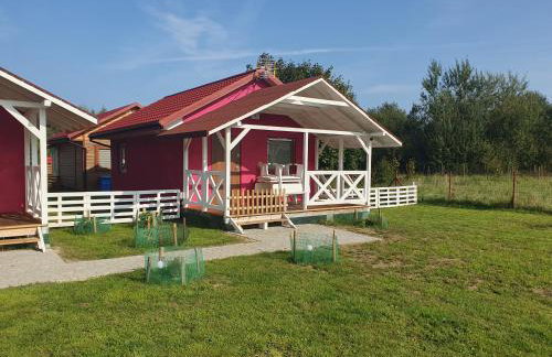 Domki Letniskowe U Żuni - Foto 24