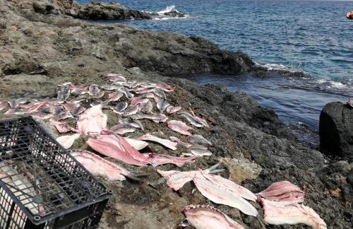 Apartamento Kokozun 28 - Foto 35