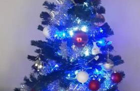 Cantinho da Ribeira - Foto 22